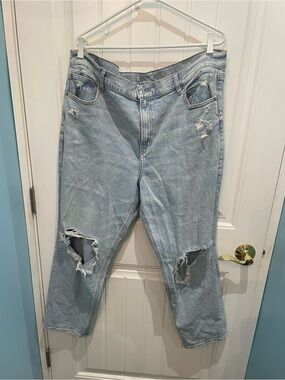 American Eagle Outfitters Light Blue Stretch Denim Jeans plus size